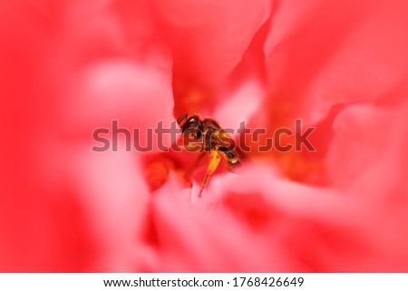 Similar – Image, Stock Photo Zero eight fifteen. Sharpness.