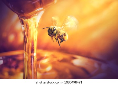 bee flying to Honey dripping in glass jar.