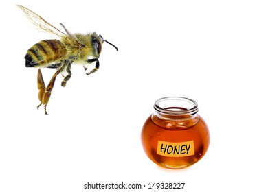 Bee Flying To Honey Glass Isolated On A White Background