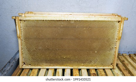 Bee frame in the workshop