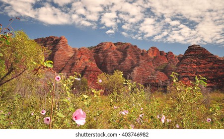 Bee Hive Formations At The Bungle Bungles In Western Australia