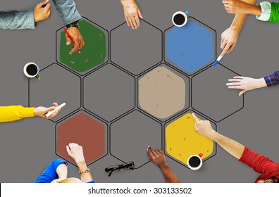 Bee Hive Honey Community Teamwork Concept