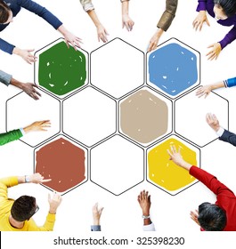 Bee Hive Honey Community Teamwork Concept