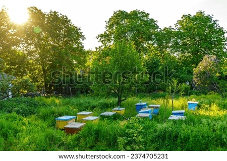 Bee hives. Background with selective focus and copy space for text.