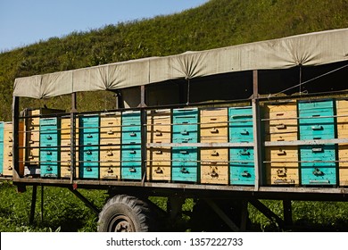 Bee Hives On A Trailer. Mobile Apiary