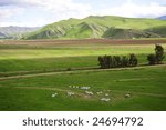 Bee hives are set out to aid crops in the San Joaquin Valley, California