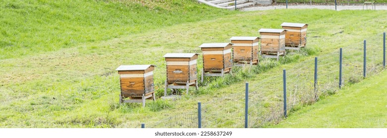 Bee hives in the Tuileries garden in paris, France - Shutterstock ID 2258637249