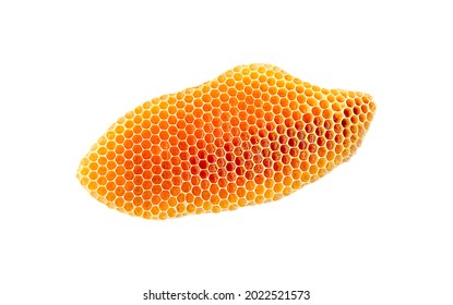 bee honeycomb with honey on a white background, bee honeycomb isolate