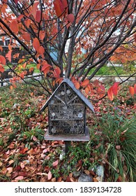 Bee Hotel In A Park In Fall