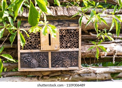 Bee And Insects Hotel