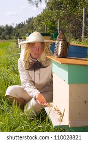 Bee Keeper At Hive.