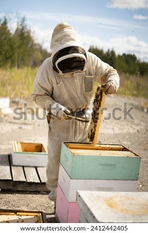 a bee keeper bee keeping 
