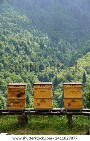 Bee on beehives on green background. Beehives in perfect nature.	
