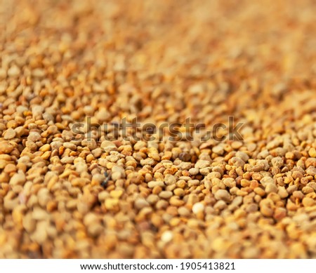 Bee pollen granules ttexture close up. The healthy product from the pollen that collects on the bodies of bees.