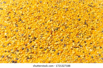 Bee Pollen Or Perga Textured Background Top View. Raw Brown, Yellow, Orange And Blue Flower Pollen Grains Or Bee Bread Texture Pattern. Healthy Food Supplement