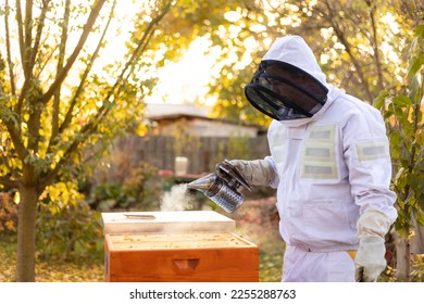 Bee smoker with apiarist with professional equipment working taking care in his apiary on the farm, beekeeping concept