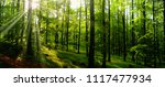 Beech trees forest at spring daylight, sunrays, green leafs, broad leaf trees. Relaxing nature,sunshine. Panoramic photo. Czech Republic, Europe,Creative post processing.