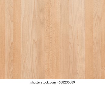 Beech Wood Panel