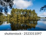 Beecraigs Country Park in Scotland in September, reflection in the water of Beecraigs Loch, pine woods grow on the shore, sunny day, blue sky