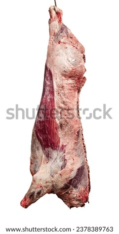 A beef carcass in a slaughterhouse
