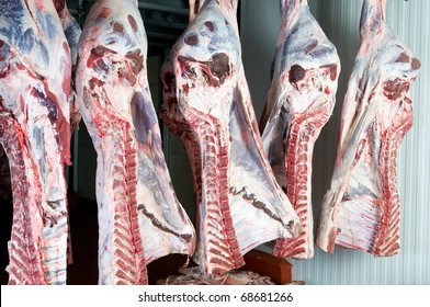 Beef Half Sides In The Market Or Slaughterhouse Deposit