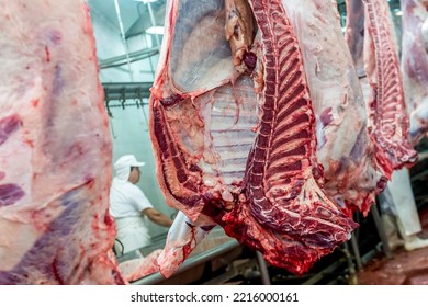 Beef Meat Production, Slaughter Of Cows. Slaughterhouse Cows In Buenos Aires Argentina