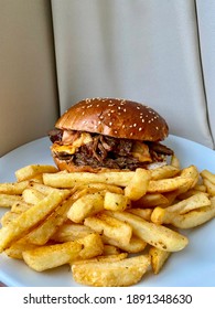 Beef Short Rib Burger With Fries