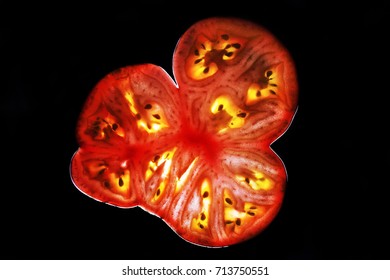 A Beefsteak Tomato Slice Lit From Behind.