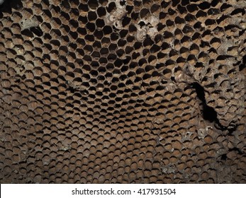 beehive