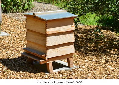 Beehive In A Country Estate In The UK