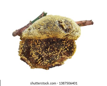 Beehive On Stick Isolated  On White Background