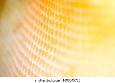 Beehive Selective Focus Background Of Ntural Golden Color