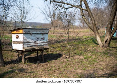 Beehive Spring Management. Beekeeper inspecting bee hive and prepares apiary for summer season. The first spring works in the apiary. The start of beekeeping season. Frames of a bee hive. - Powered by Shutterstock