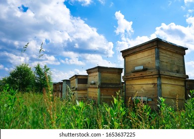 A beehive from a tree stands on an apiary. The houses of the bees are placed on the green grass in the mountains. Private enterprise for beekeeping. Honey healthy food products. - Shutterstock ID 1653637225