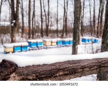 Beehive In A Winter Covered With Snow