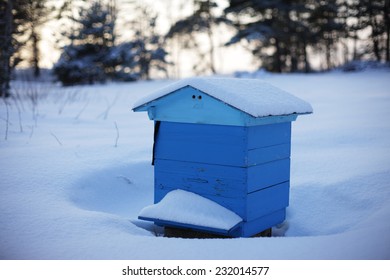 Beehive In The Winter Forest