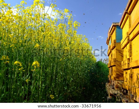 Similar – Image, Stock Photo Summ Summ Summ Summery