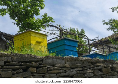 Beehives in a simple country garden in Dryanovo, Bulgaria, sheltered under a small vineyard, and used to extract organic honey for the household's own consumption. - Powered by Shutterstock