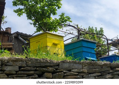 Beehives in a simple country garden in Dryanovo, Bulgaria, sheltered under a small vineyard, and used to extract organic honey for the household's own consumption. - Powered by Shutterstock