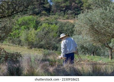 beekeeper with bee panels and protective suit in the middle of the bush