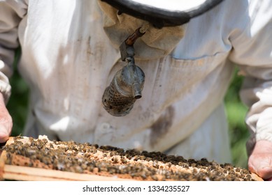 beekeeper and bees