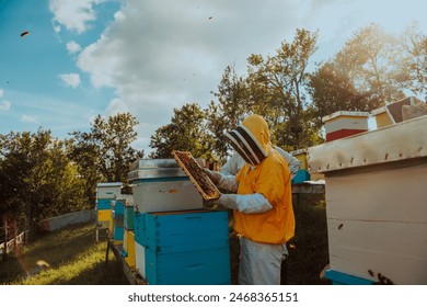 Beekeeper checking honey on the beehive frame in the field. Beekeeper on apiary. Beekeeper is working with bees and beehives on the apiary. - Powered by Shutterstock