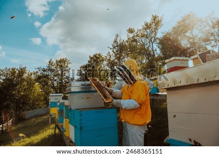 Similar – Image, Stock Photo Beekeeper working in apiary. Drawing out the honeycomb from the hive with bees on honeycomb. Harvest time in apiary