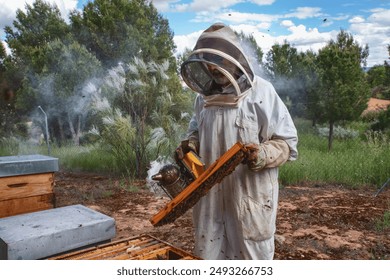 A beekeeper dressed in white protective suit, using a smoker to calm bees in an outdoor apiary.  - Powered by Shutterstock