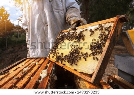 Similar – Image, Stock Photo A beekeeper at work on the hive