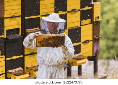 Beekeeper in full protective gear standing in front of beehive boxes, holding and inspecting a frame with comb and bees - Powered by Shutterstock