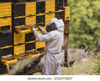 Beekeeper in full protective gear standing in front of beehive boxes, holding and inspecting a frame with comb and bees - Powered by Shutterstock