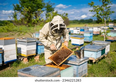 A beekeeper inspecting a beehive in a protective suit. A man in a bee suit inspecting a beehive - Powered by Shutterstock