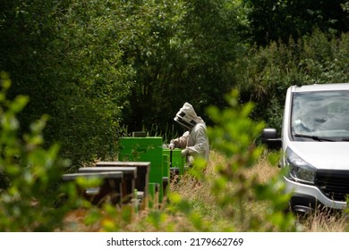 Beekeeper Inspecting Beehives In Specific Outfit