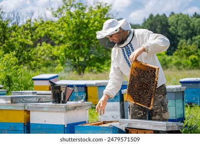 Beekeeper Inspecting Honeycomb Frame. A beekeeper wearing protective gear inspects a honeycomb frame filled with bees in a field of beehives. - Powered by Shutterstock